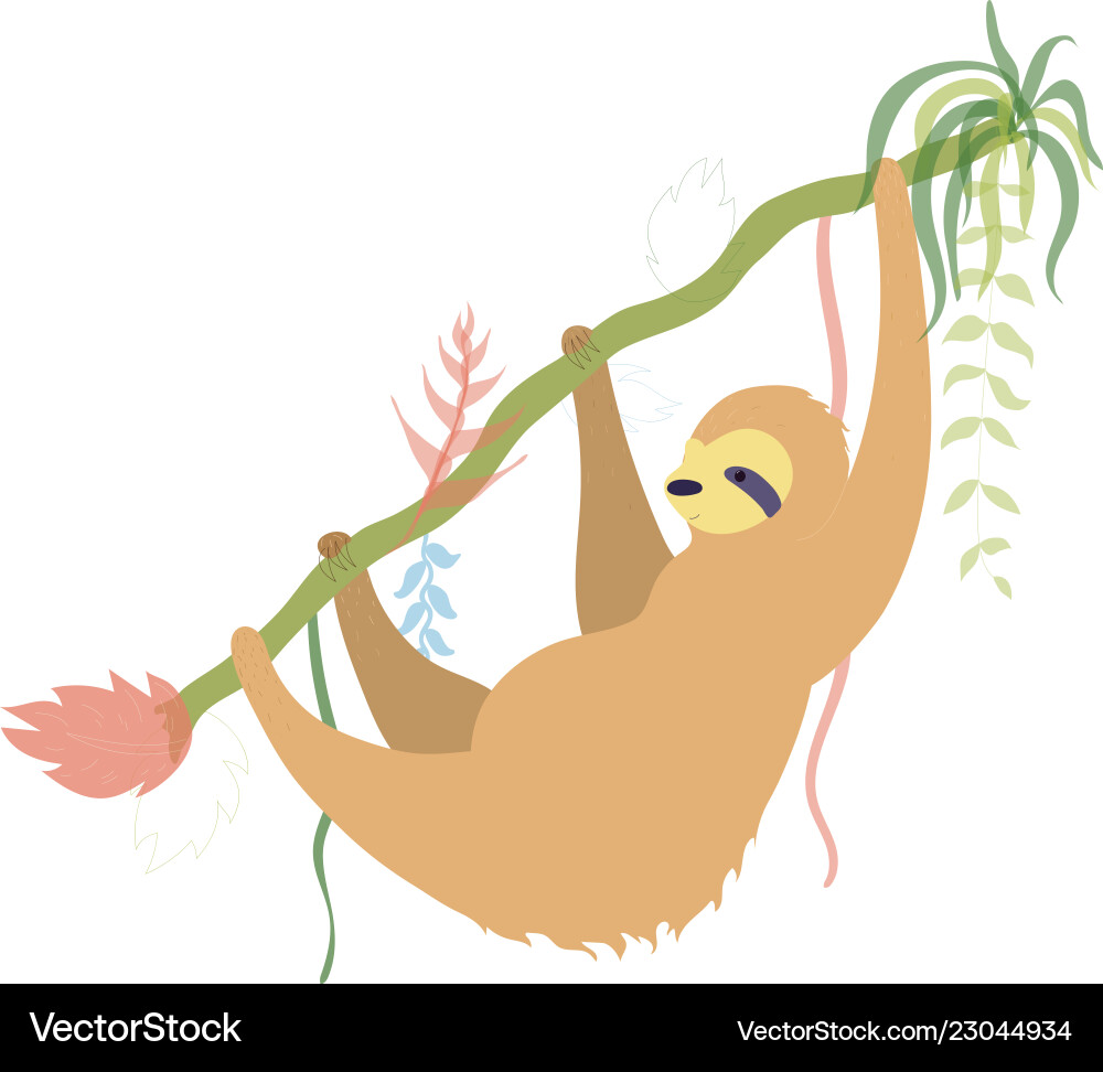 Cute character sloth Royalty Free Vector Image
