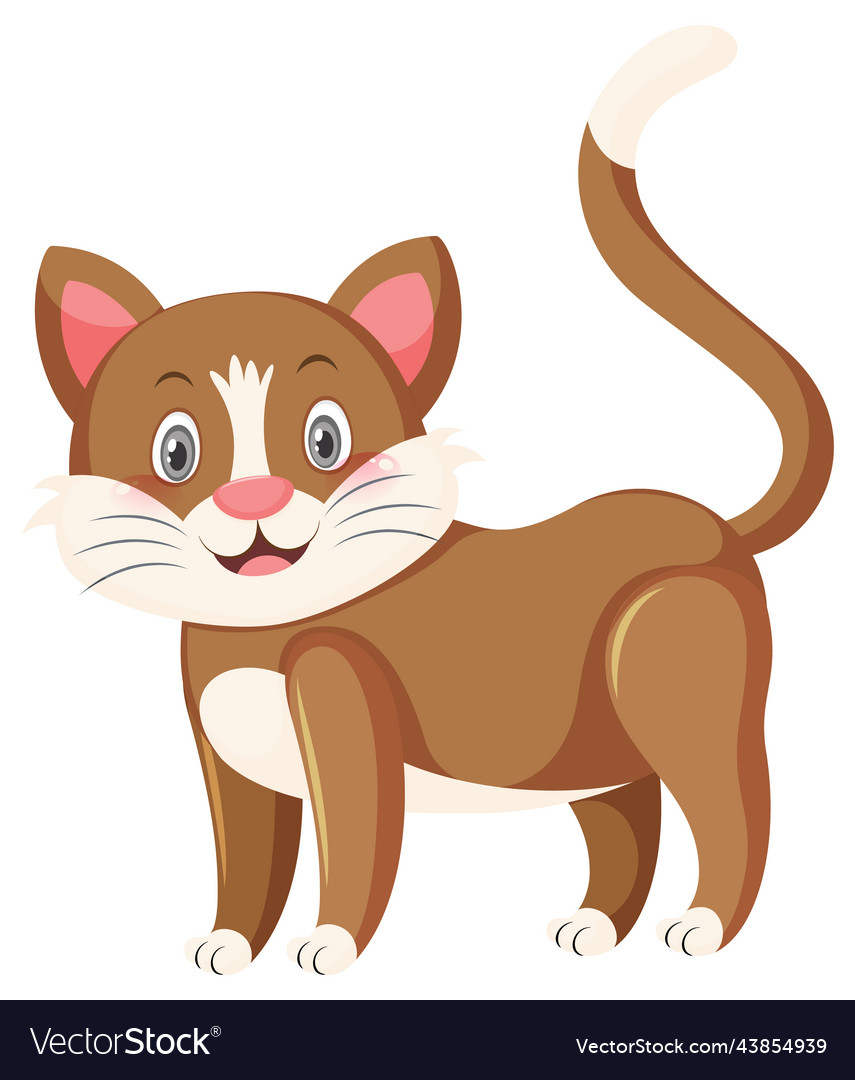 Little cute cat in cartoon style Royalty Free Vector Image