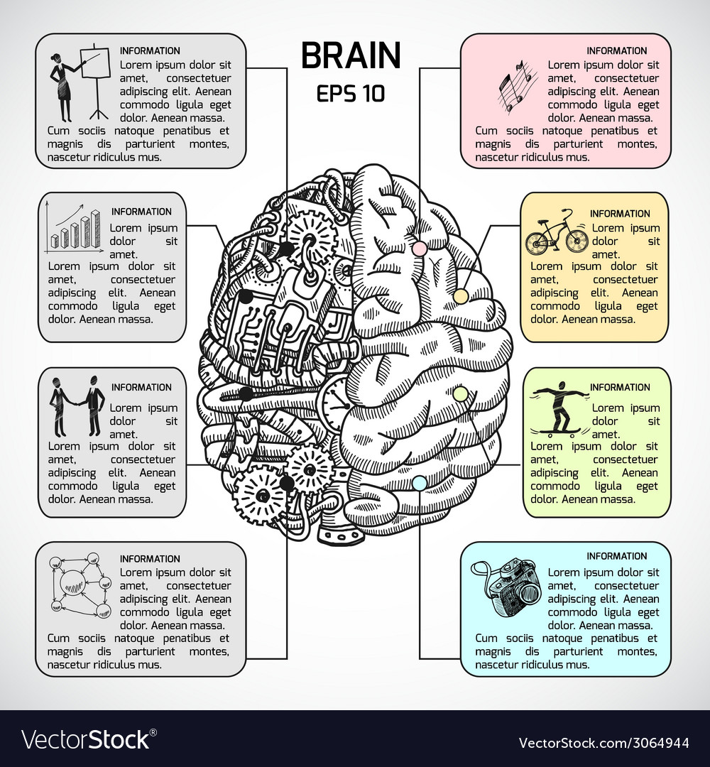 The Mechanics of the Brain (Infographic)