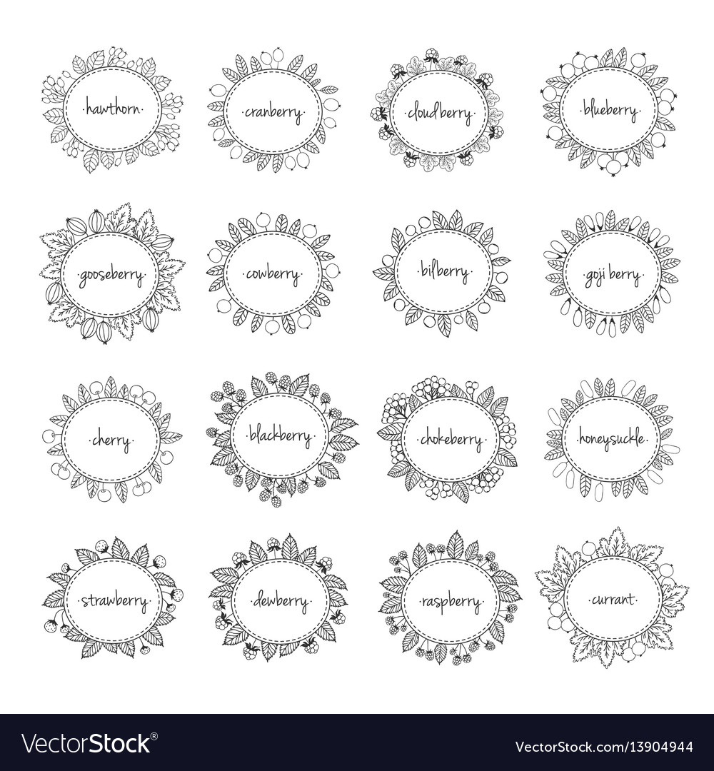 Collection of labels with berries and leaves