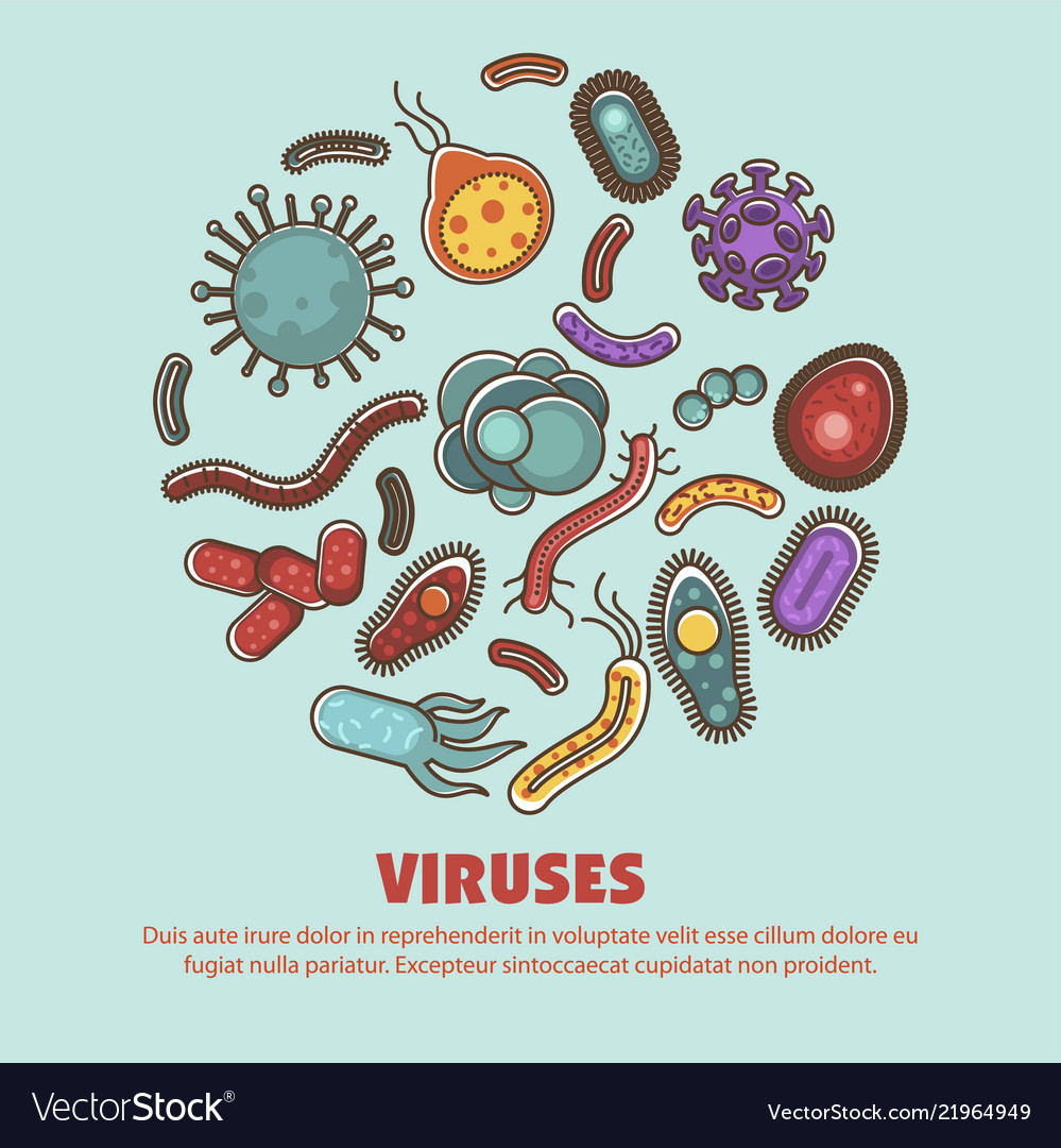 Viruses bacteria harmful and healthy harmful Vector Image