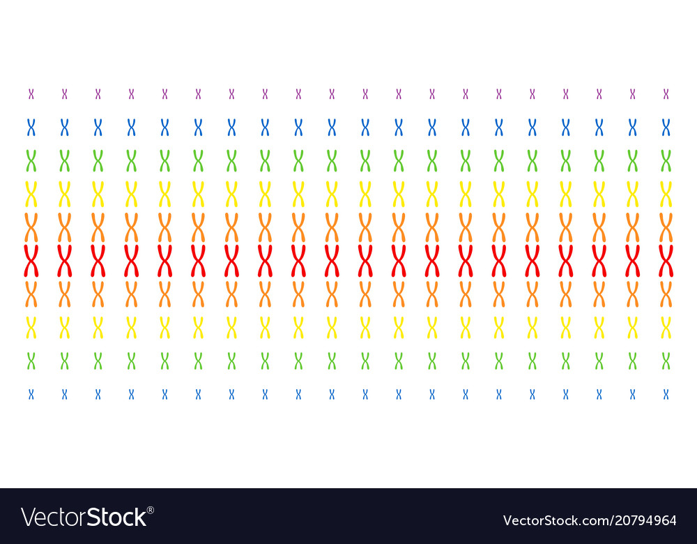 Chromosome shape halftone spectrum pattern vector image Chromosome shape halftone spectrum pattern