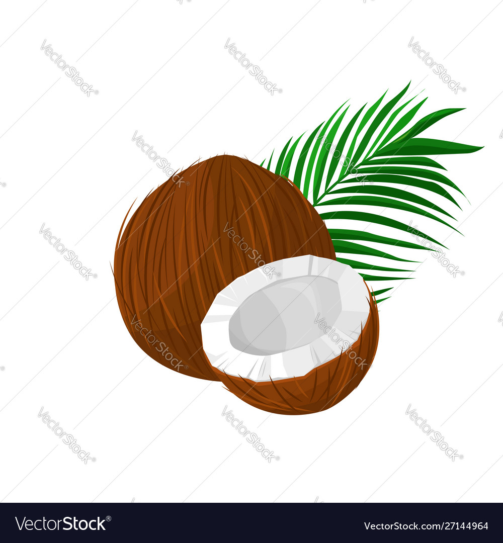 Coconut with leaves