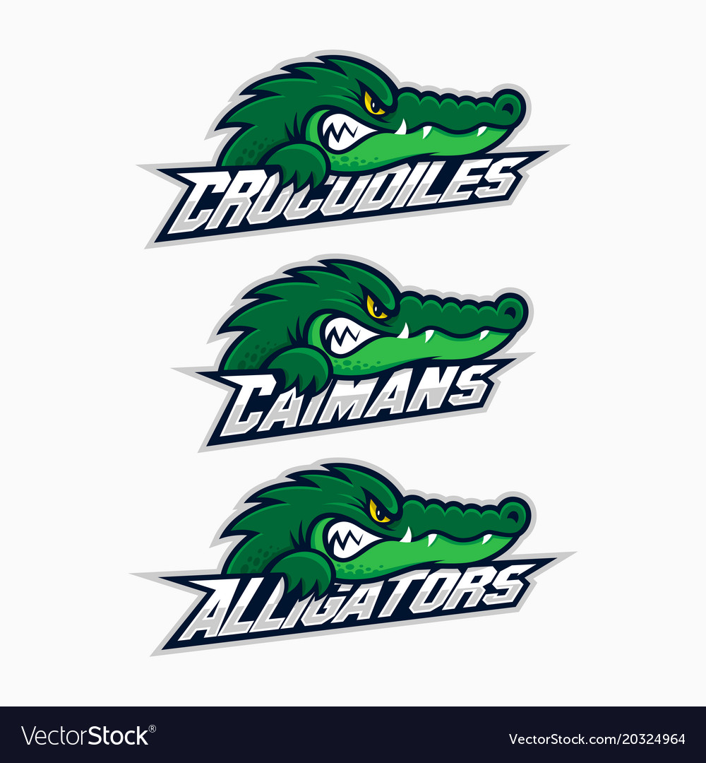 Sport mascot set Royalty Free Vector Image - VectorStock