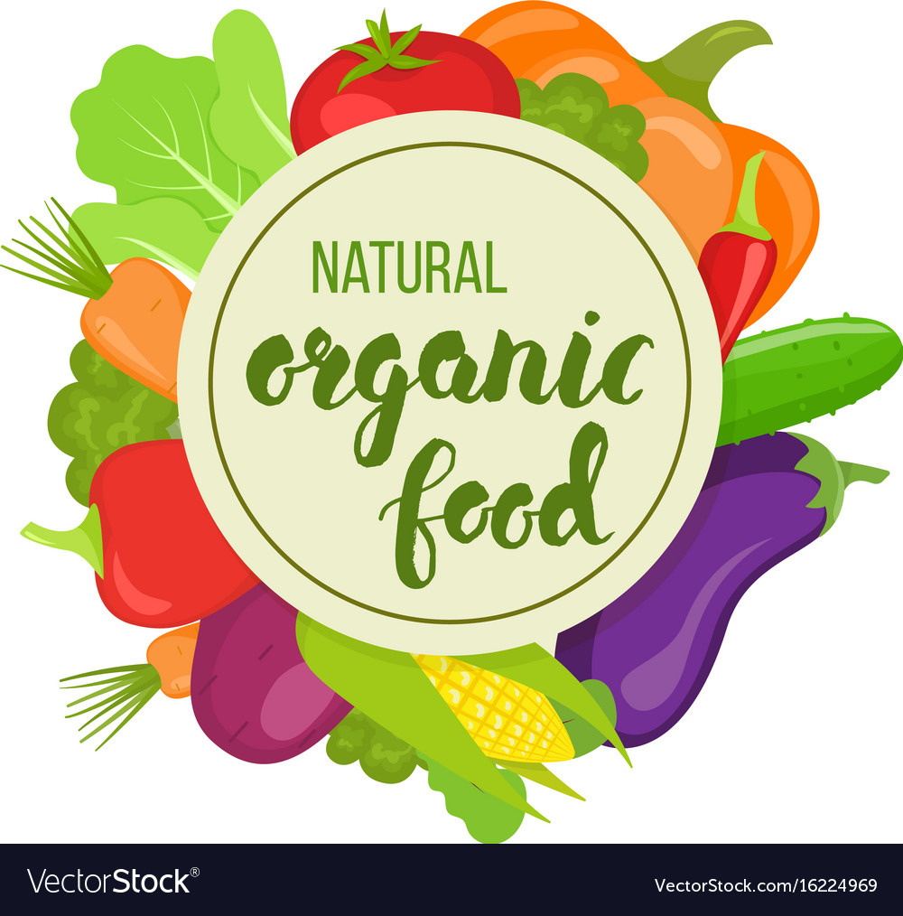 circle template with vegetables royalty free vector image