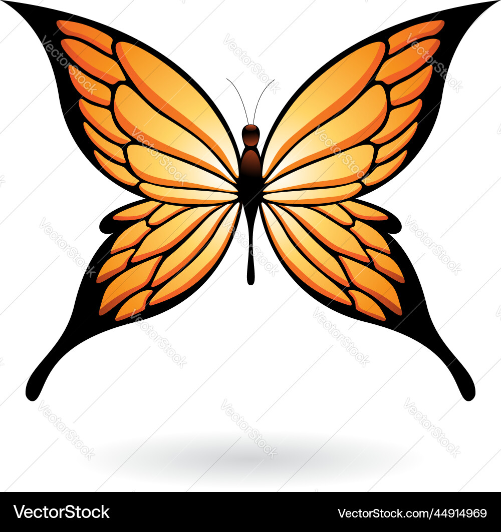 Orange and black butterfly with pointed wings Vector Image
