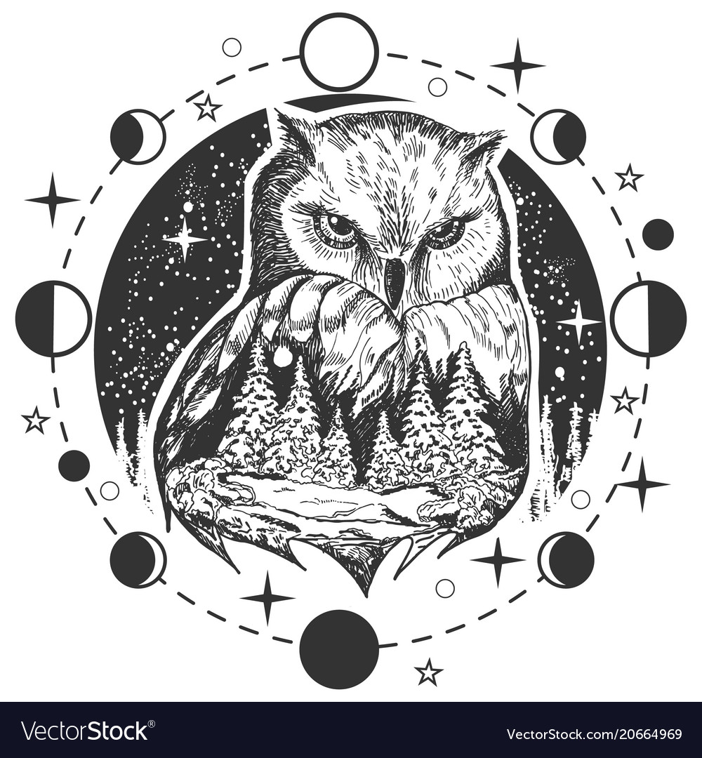 Owl bird t-shirt custom design print Royalty Free Vector