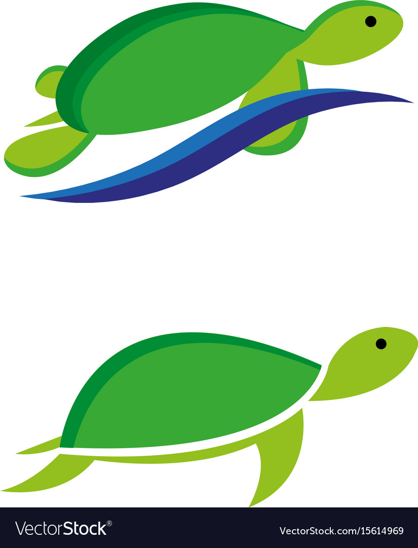 Turtles2 Royalty Free Vector Image - VectorStock