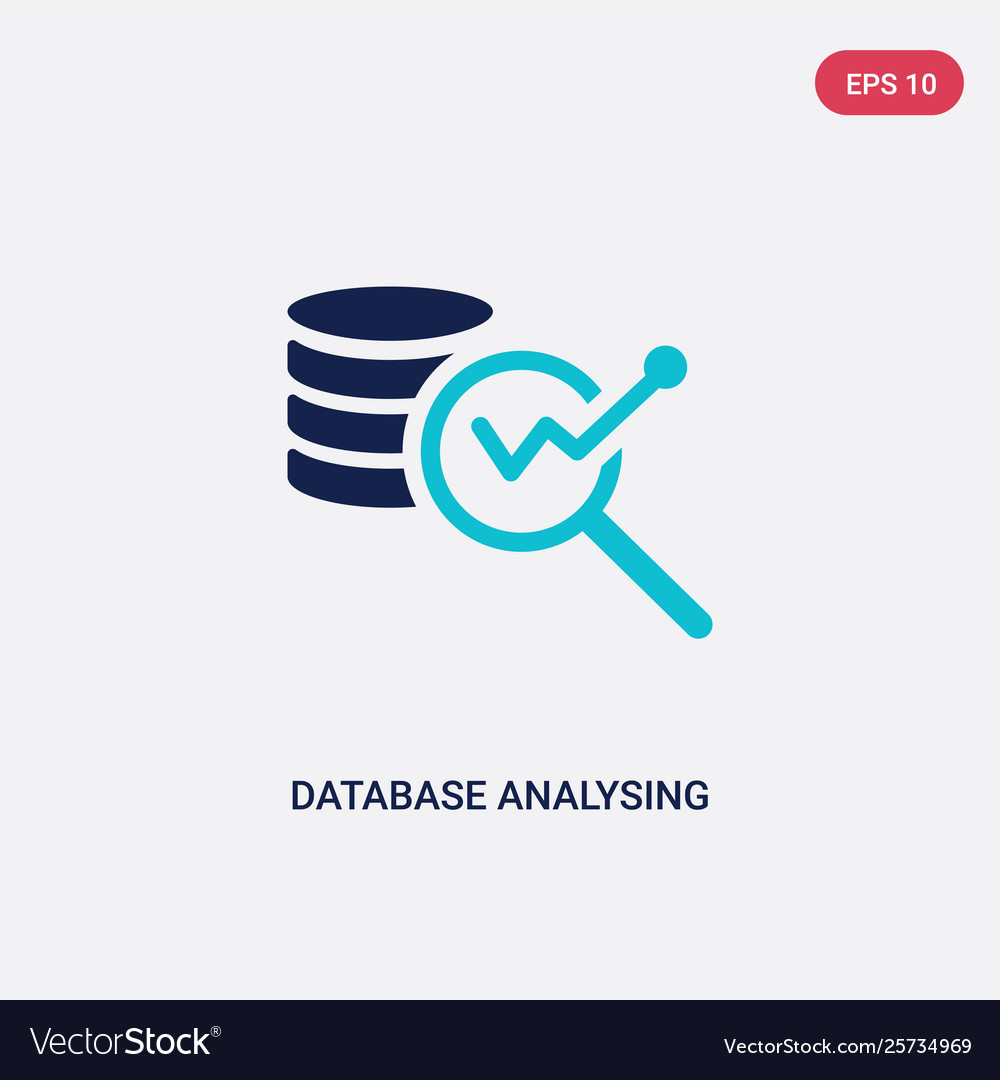 Two color database analysing icon from business vector image Two color database analysing icon from business