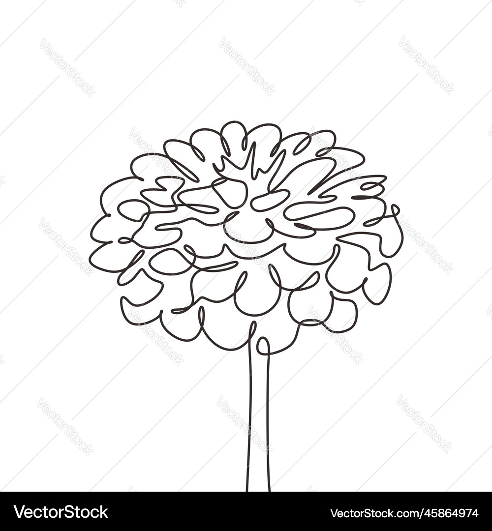 Continuous line drawing of flower minimalism Vector Image