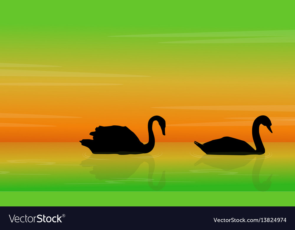 Silhouette von Schwan Schönheit Landschaft