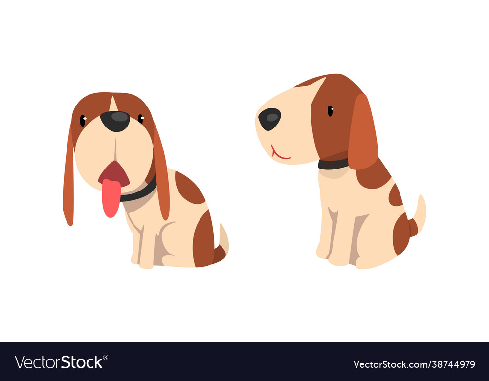 Funny jack russell terrier set adorable pet Vector Image