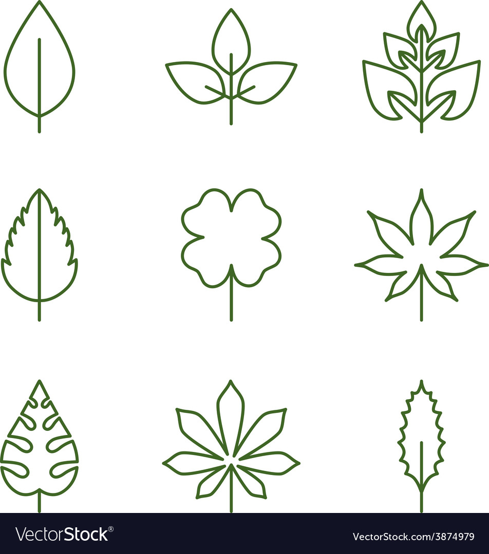 Leaf Icon Set - Linear Style