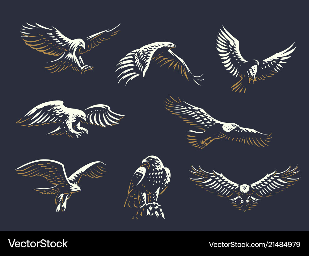 Set eagles Royalty Free Vector Image - VectorStock