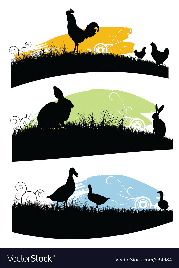 Farm animals Royalty Free Vector Image - VectorStock