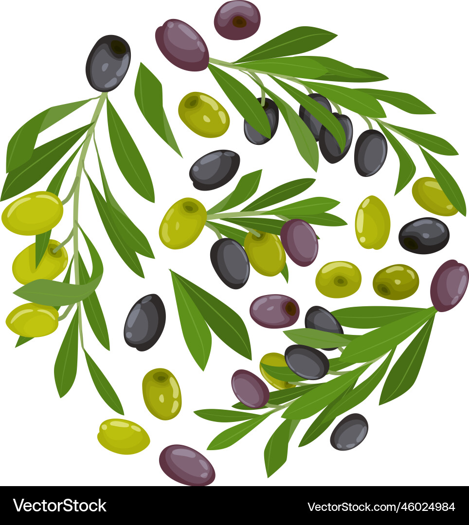 Olives flat composition Royalty Free Vector Image