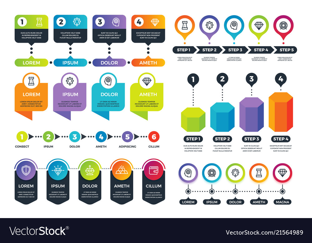 business infographics info graphs timeline and vector image