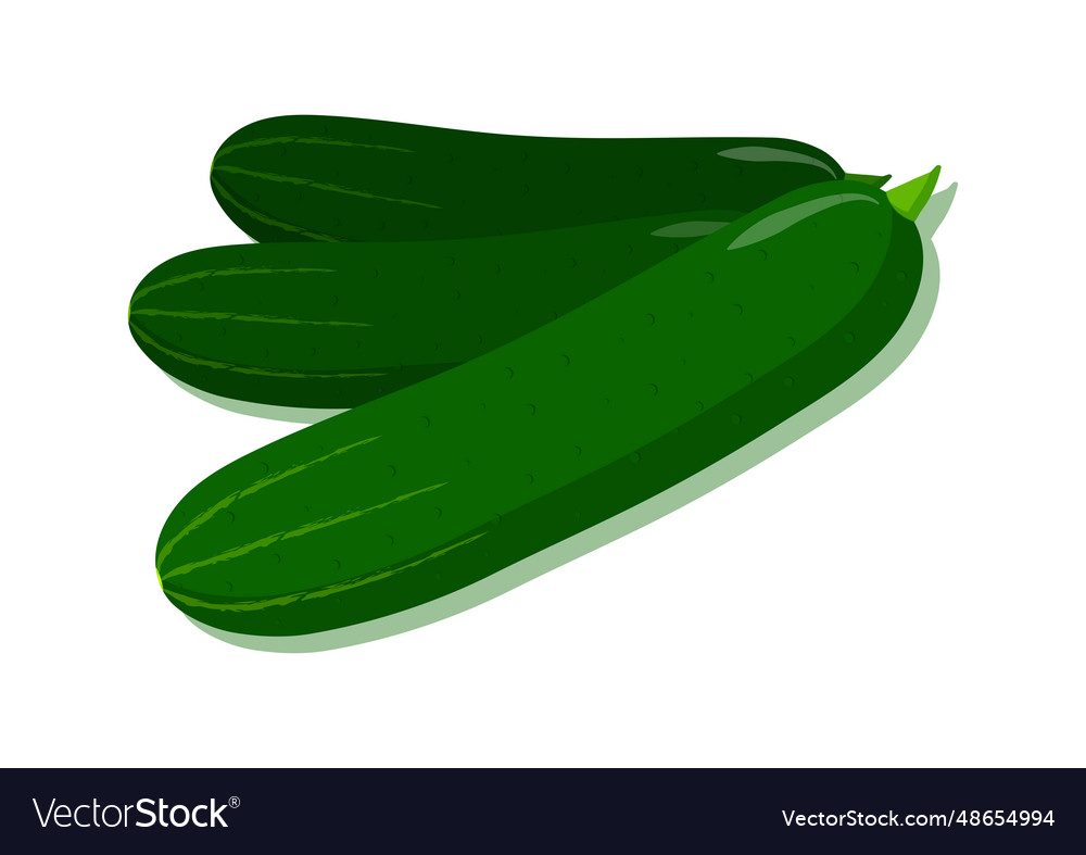 Cucumber fresh vegetable delicious healthy food