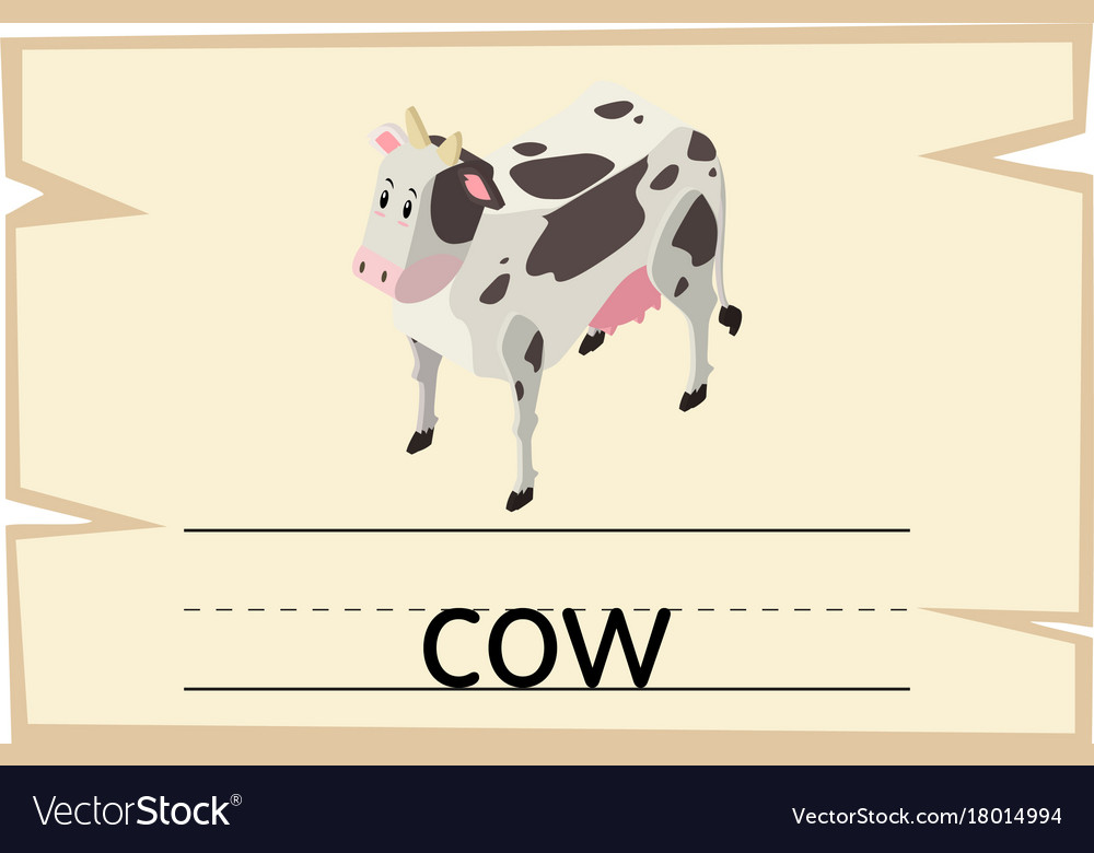 opposite gender word of cow