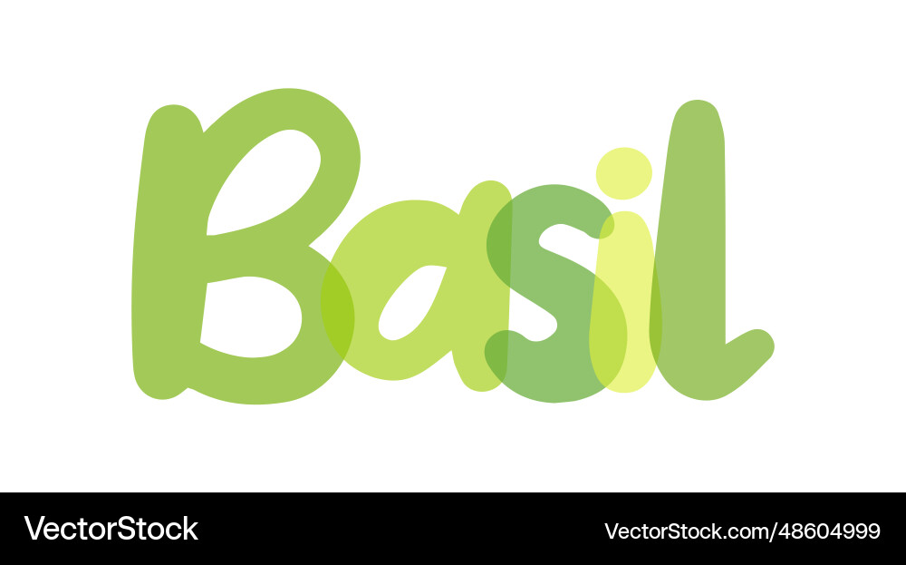 Basil ocimum basilicum king of herbs Royalty Free Vector