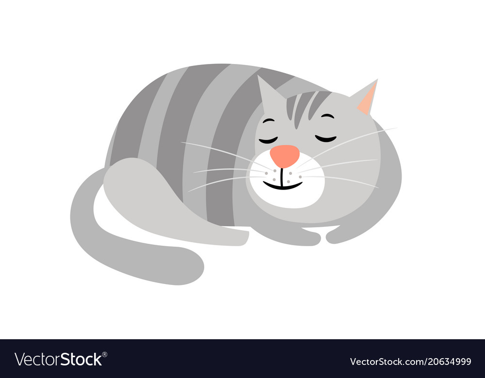 Cute cat domestic gray striped cat animal Vector Image