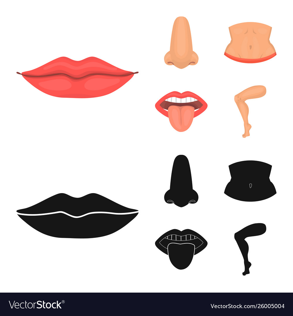 Isolated object body and part logo set vector image Isolated object body and part logo set