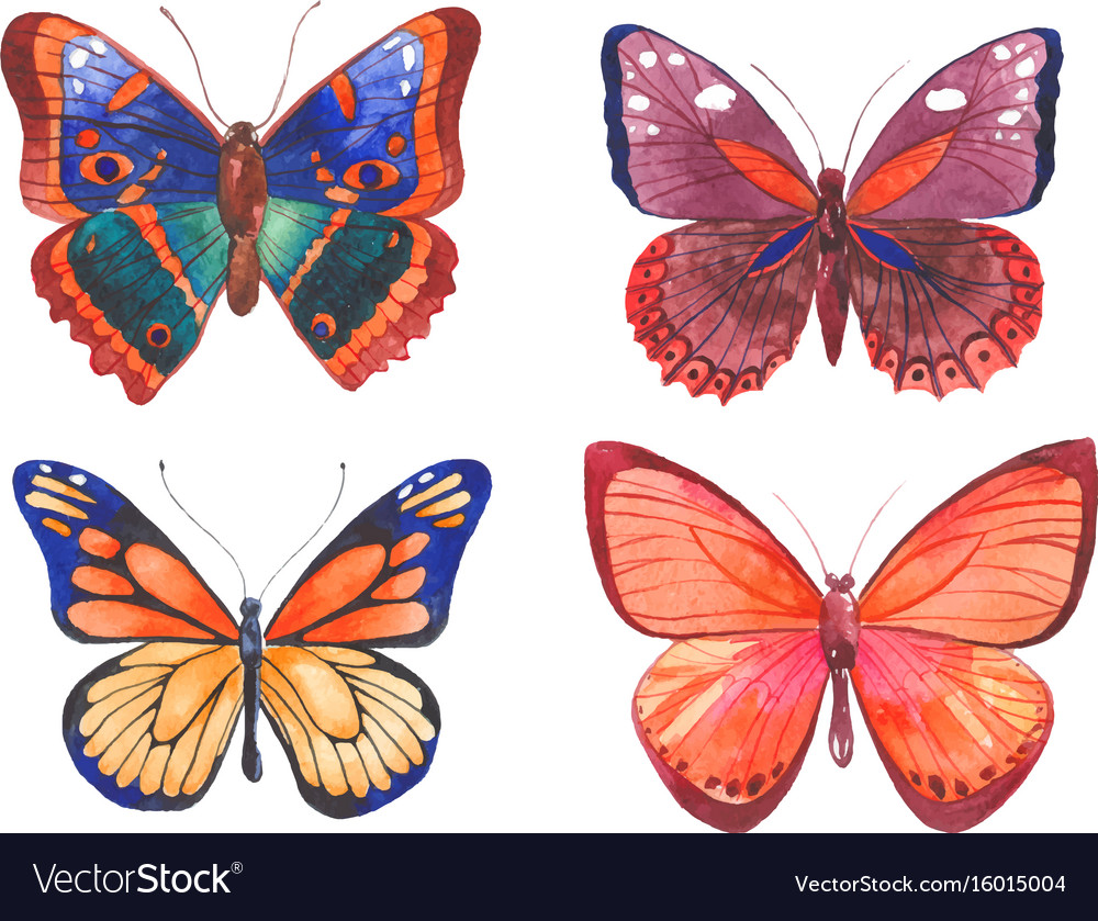 Watercolor butterflies Royalty Free Vector Image