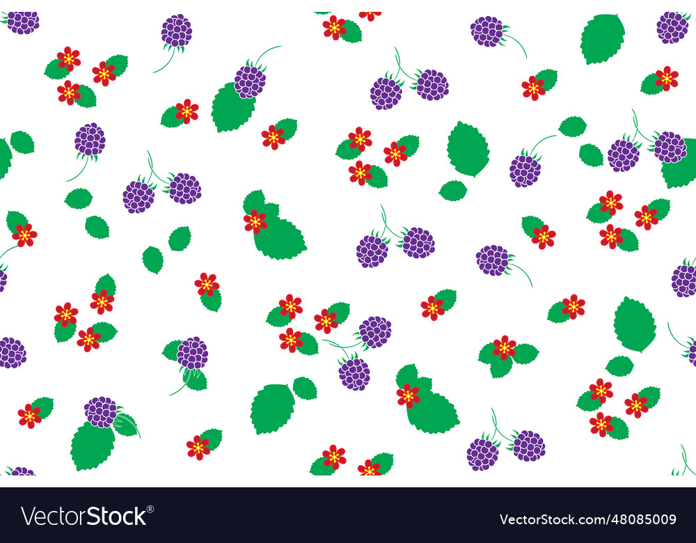 Pattern of raspberry with flower and leaf vector image Pattern of raspberry with flower and leaf
