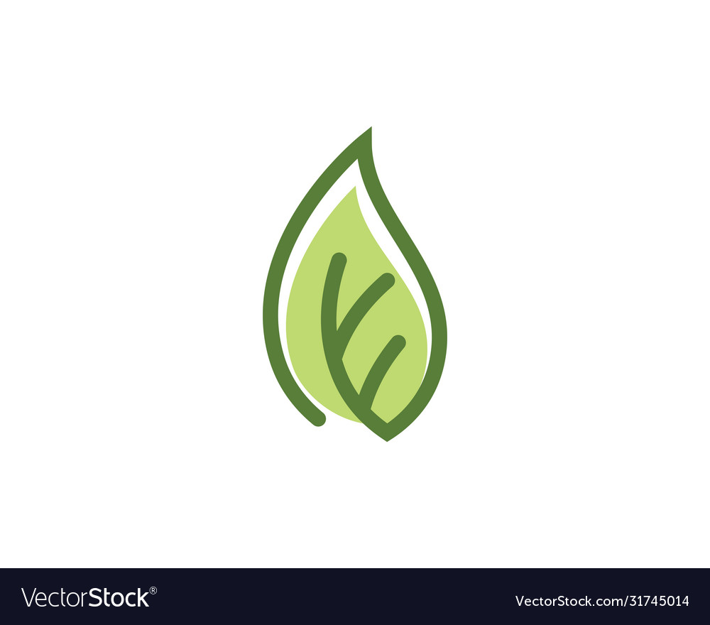 Leaf ecology nature logo template Royalty Free Vector Image