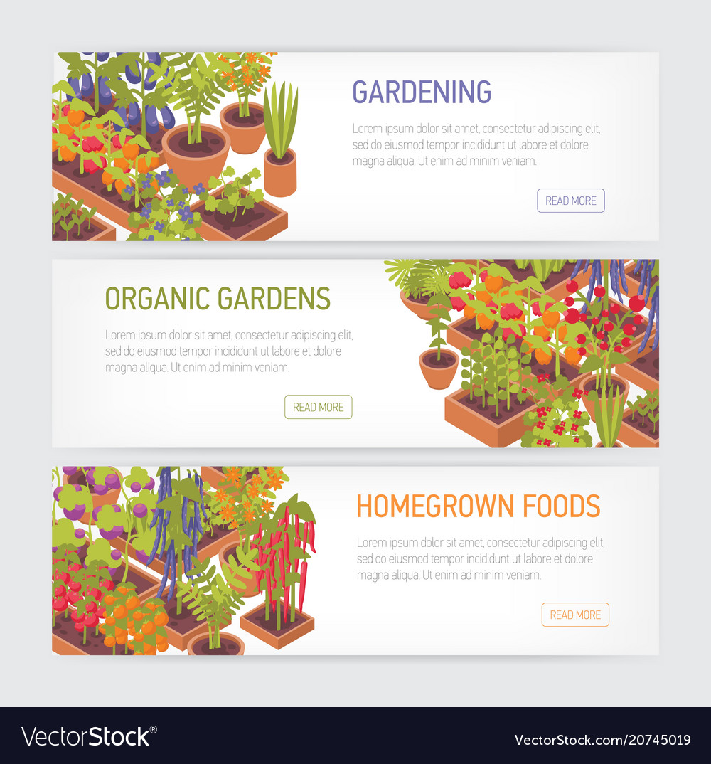 Collection of horizontal web banners with plants