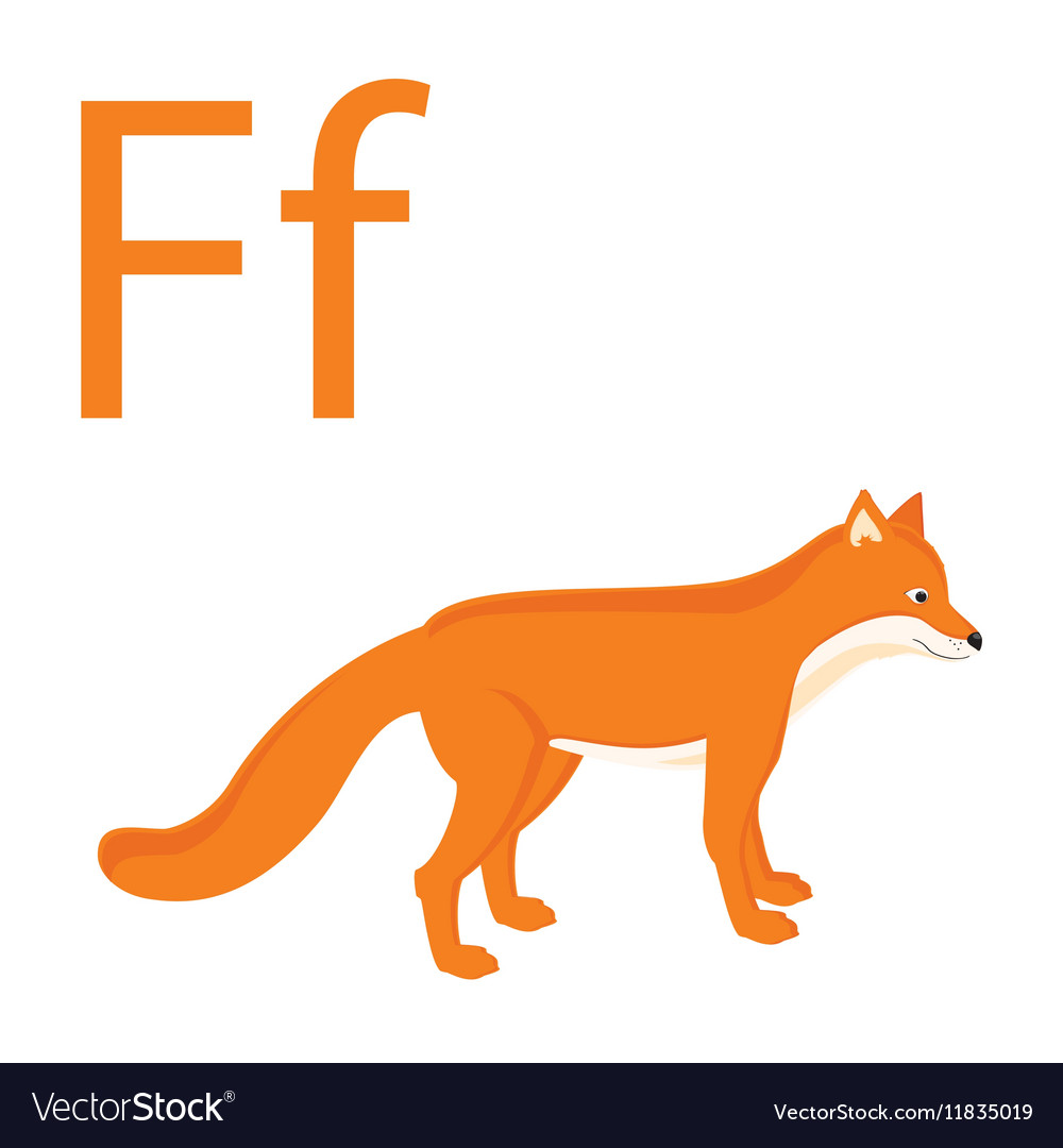 Fox for f Royalty Free Vector Image - VectorStock