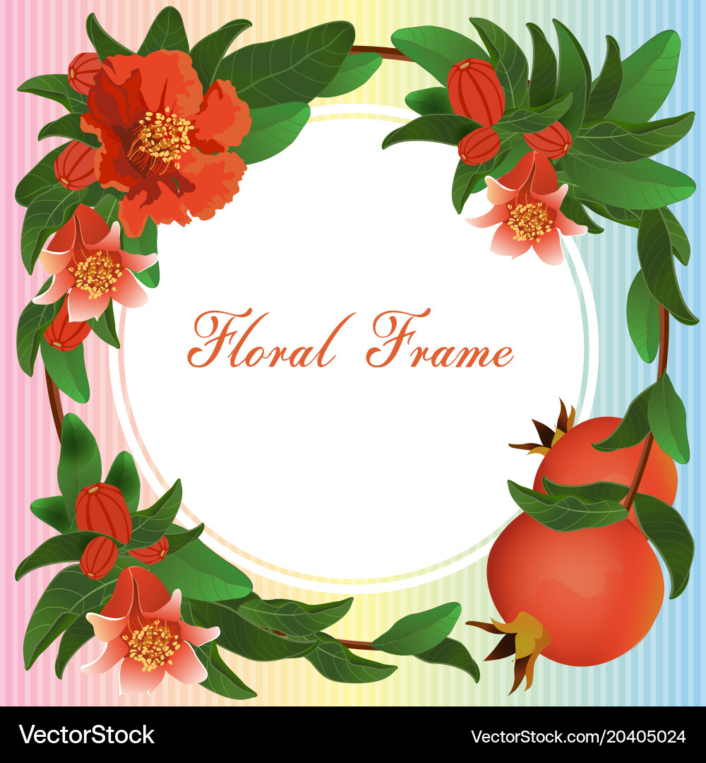 Fruit ruby Royalty Free Vector Image - VectorStock