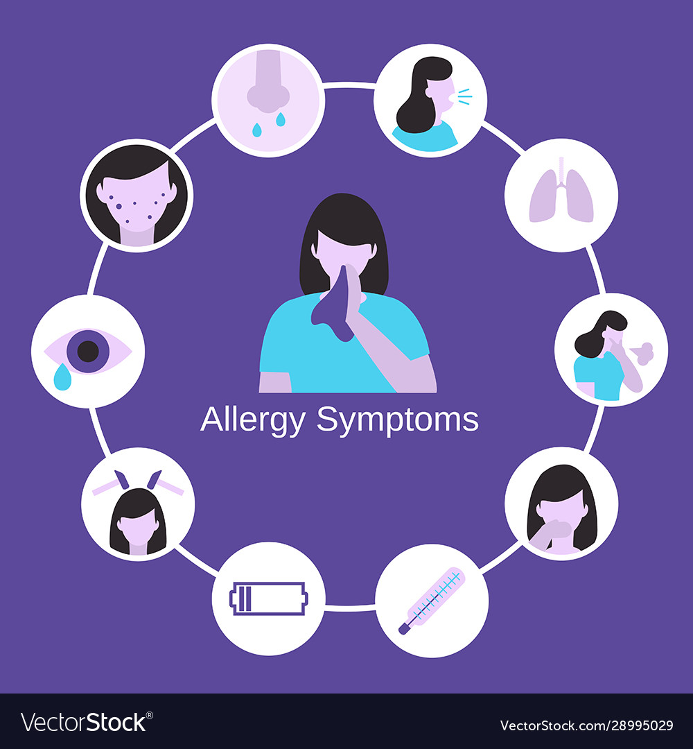 Allergy symptoms problem infographic Royalty Free Vector