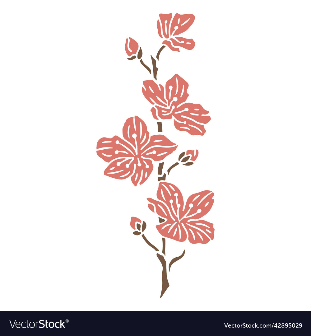 Elegant Pink Phlox Flower Stem