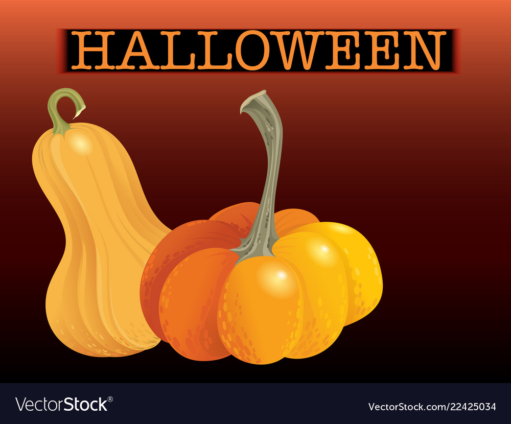 Halloween pumpkin set two orange gourds isolated