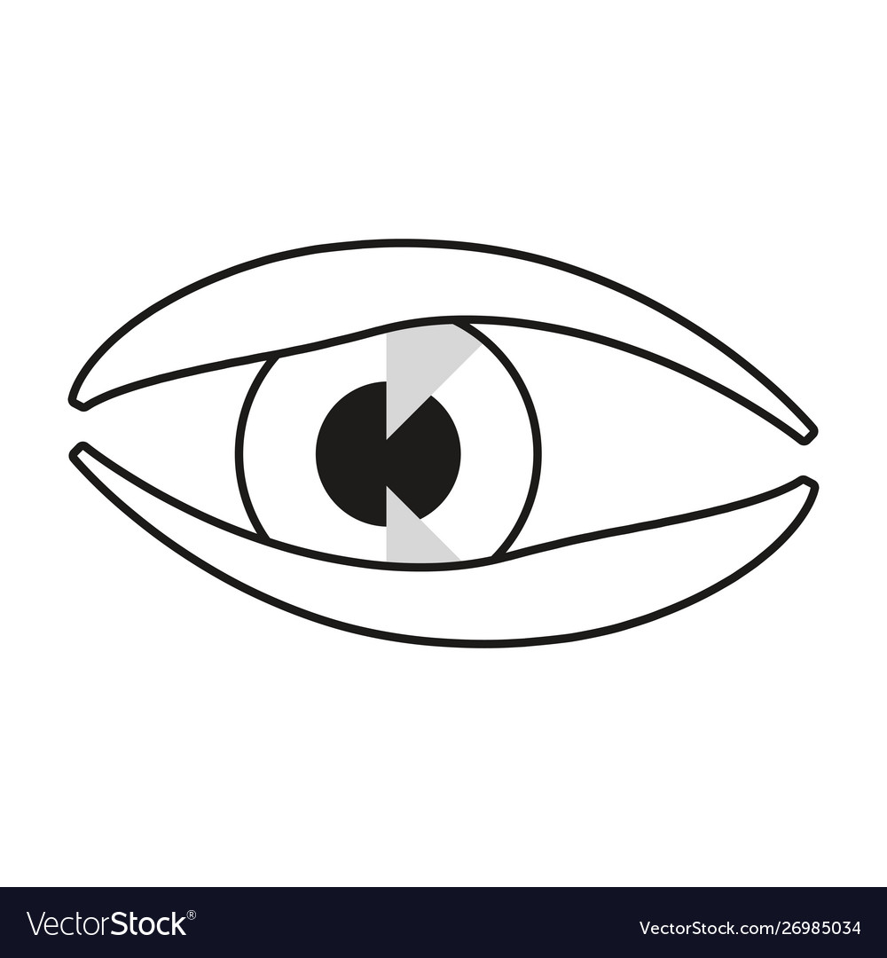 Human eye isometric on white background Royalty Free Vector