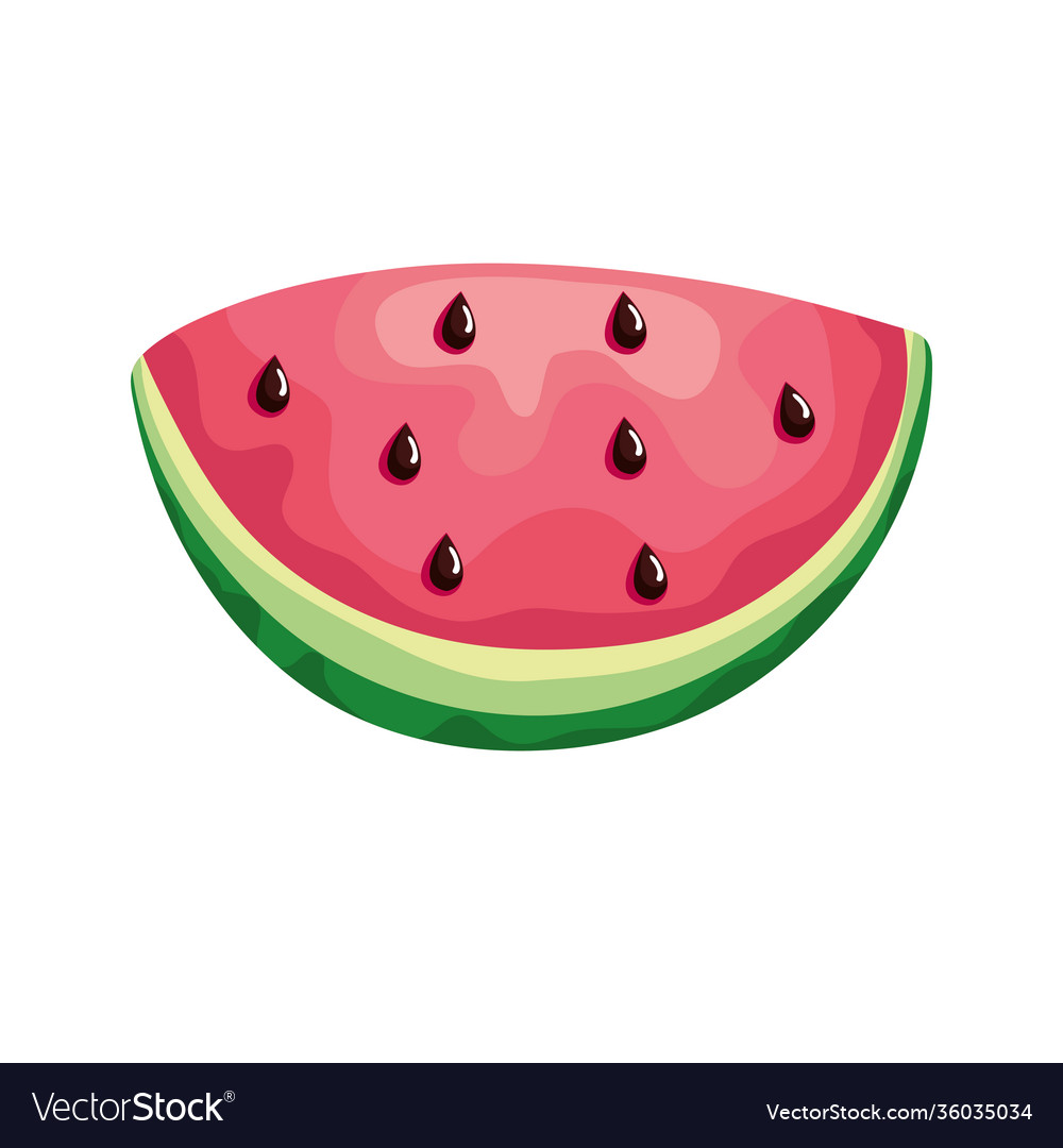 Watermelon slice fresh fruit icon Royalty Free Vector Image