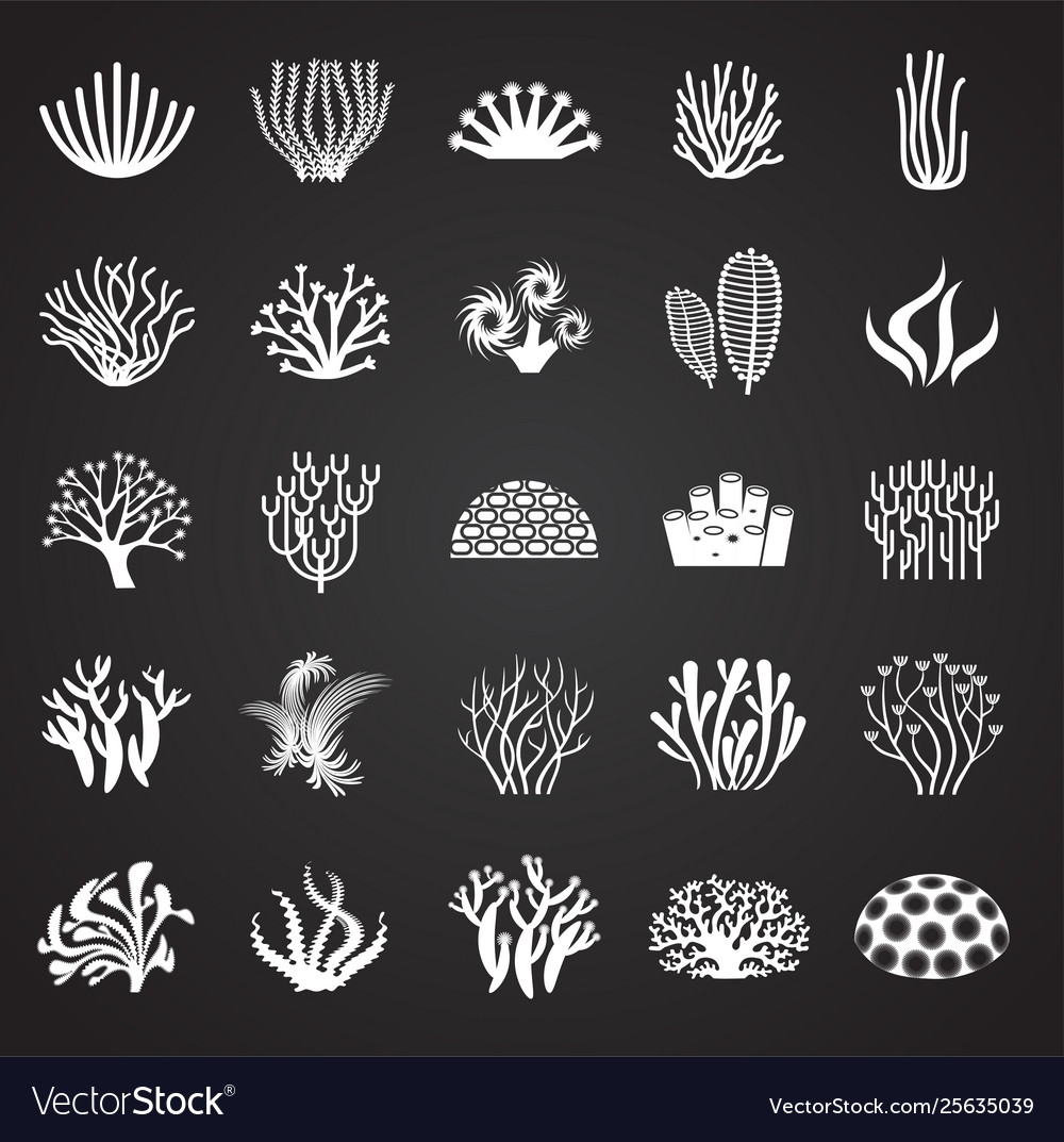 Coral icons set on background for graphic and web