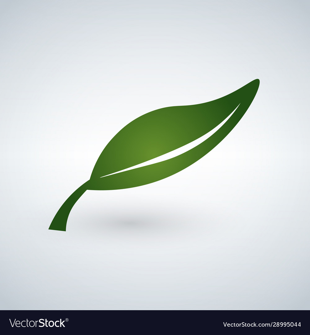 Green leaf flat icon isolated on white background