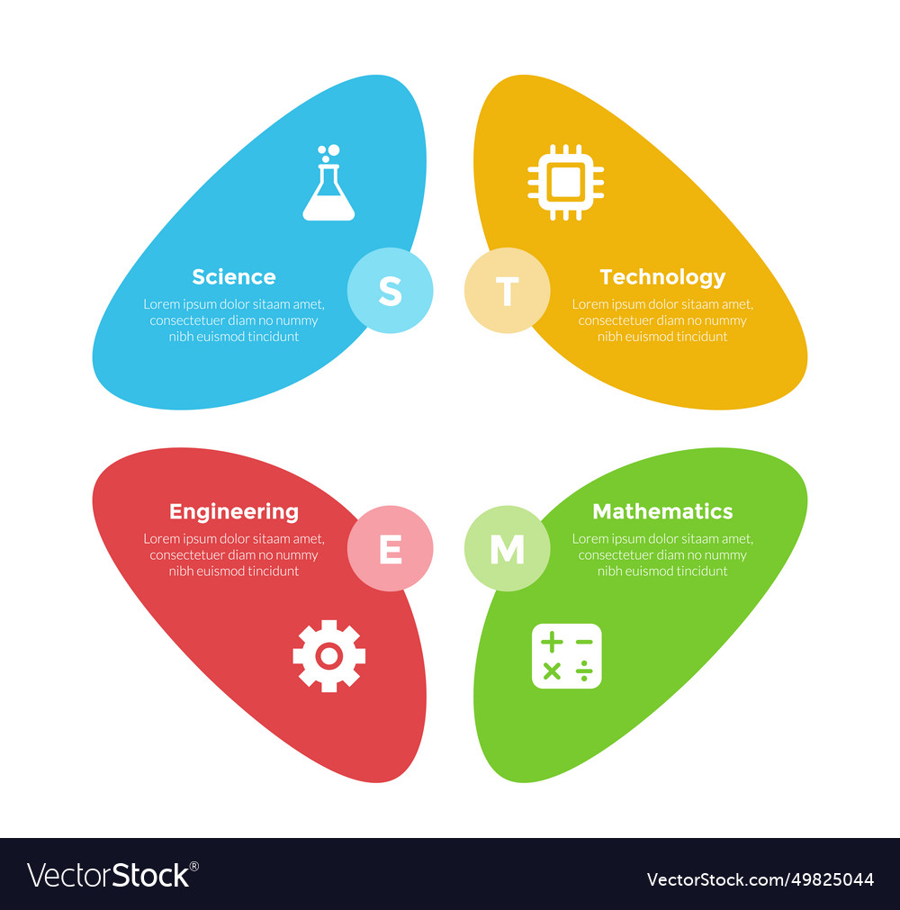 Stem education infographics template diagram Vector Image