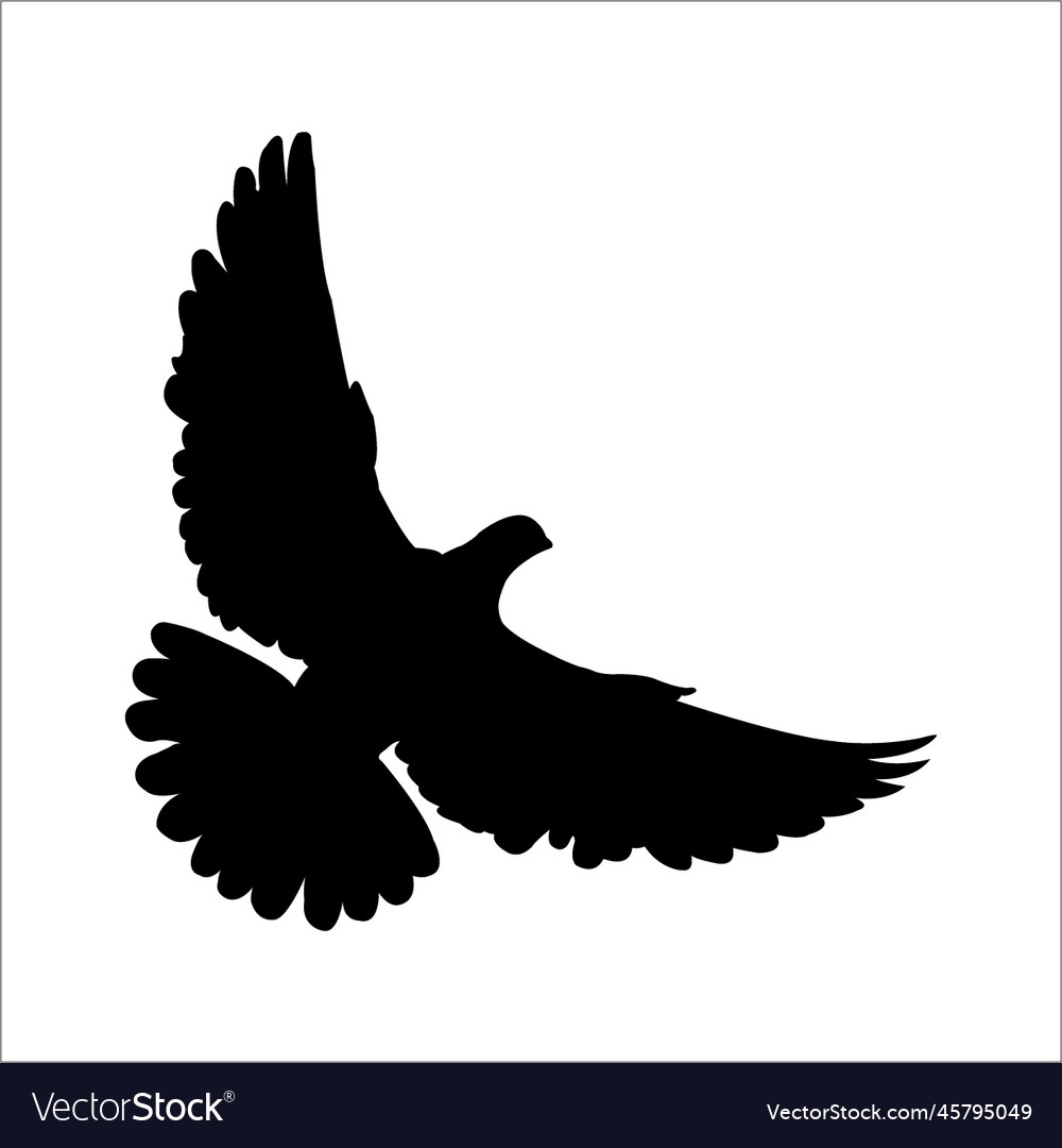 Dove Silhouette Royalty Free Vector Image - Vectorstock