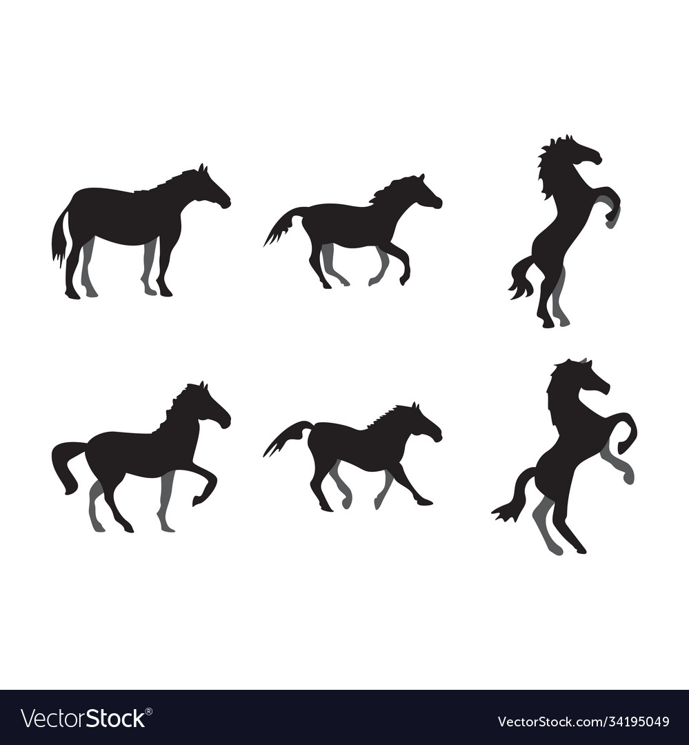 Set horse icon design template vector image Set horse icon design template