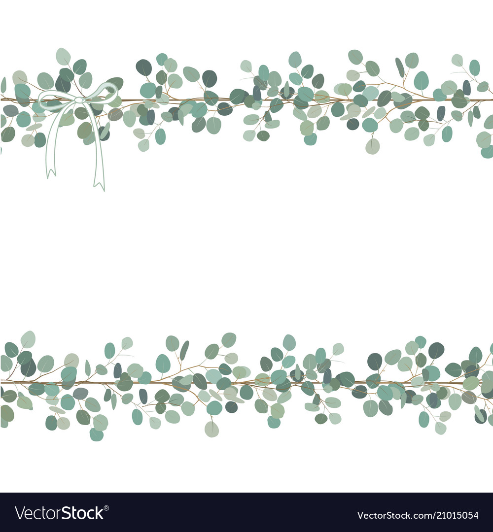 Floral card or banner design with eucalyptus Vector Image