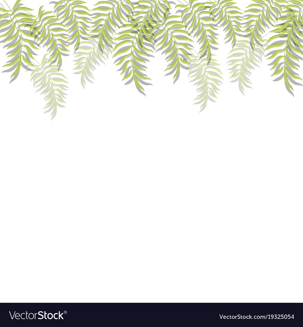 Leaves frame background Royalty Free Vector Image