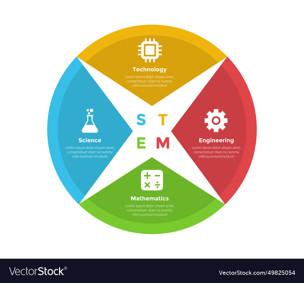 Stem education infographics template diagram Vector Image