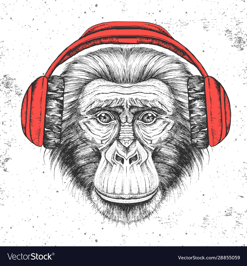 Hipster animal monkey with headphones Royalty Free Vector