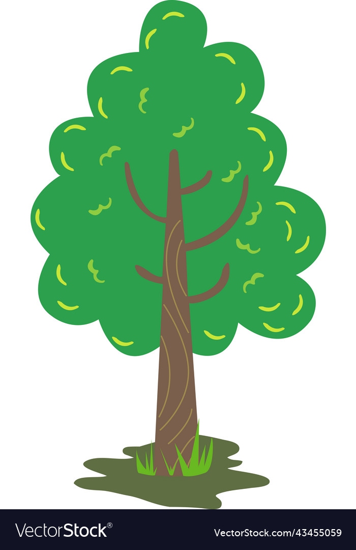 Pine tree