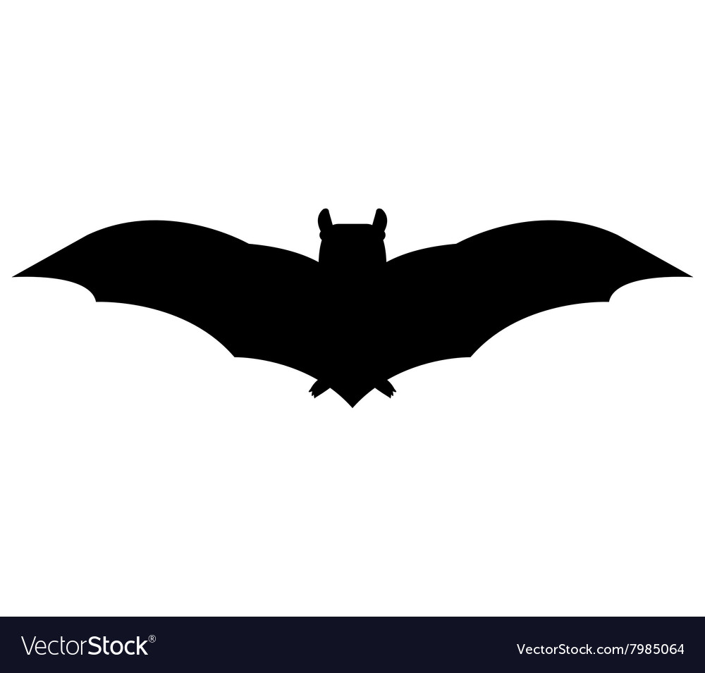 Bat on a white background Royalty Free Vector Image