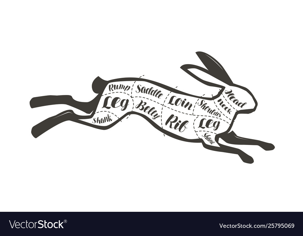 Diagram guide for cutting rabbit meat menu for Vector Image