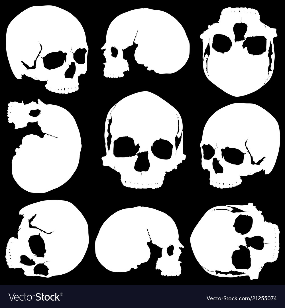 Skull seamless vector image Skull seamless